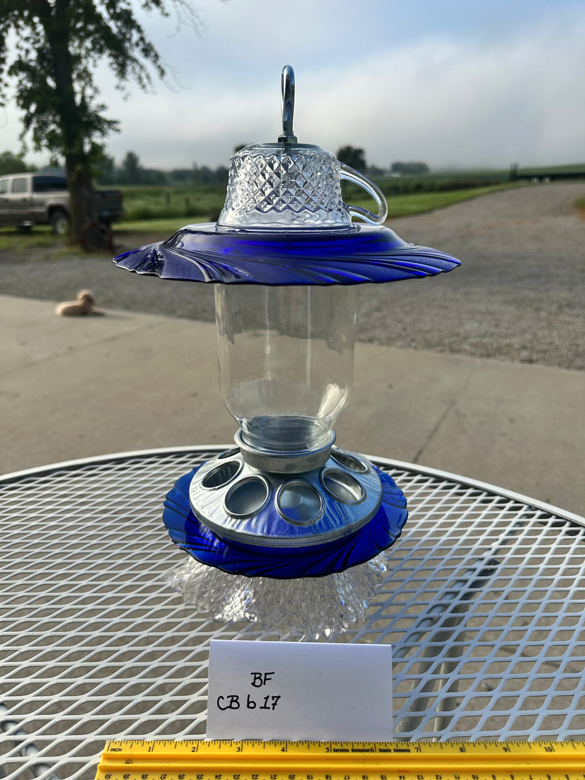Birdfeeder Cobalt Blue w/ clear bottom 17