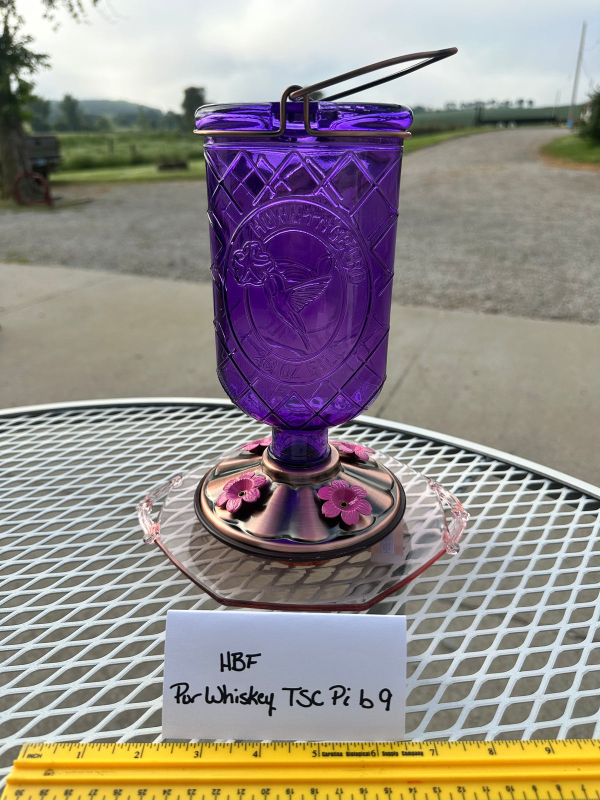 Hummingbird Feeder Purple Whiskey Pink bottom 7 & 8 & 9 & 10