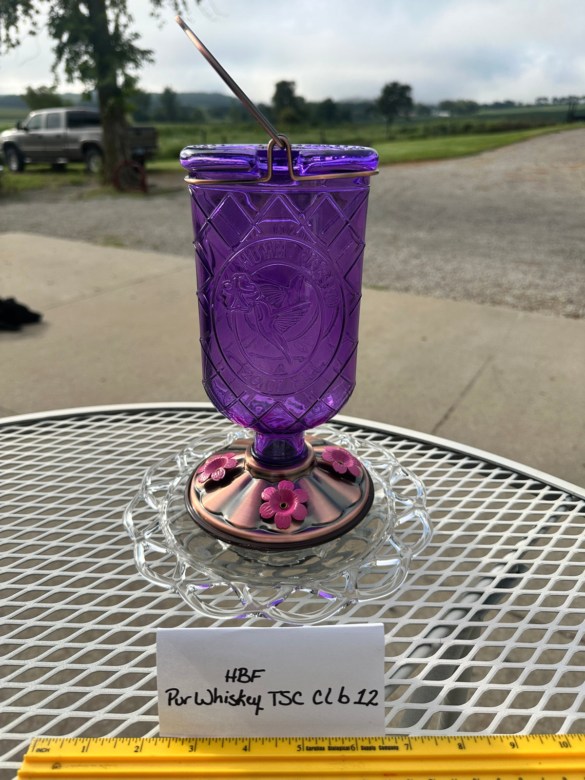 Hummingbird Feeder Purple Whiskey w/clear bottom 12