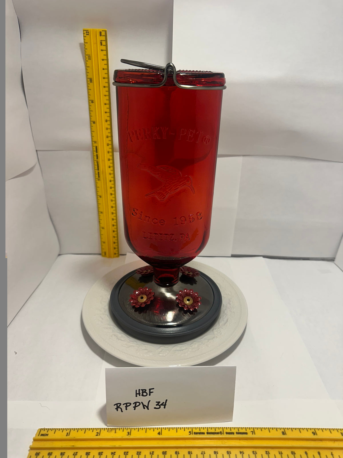 Hummingbird Feeder Red Top PP White Bottom 34