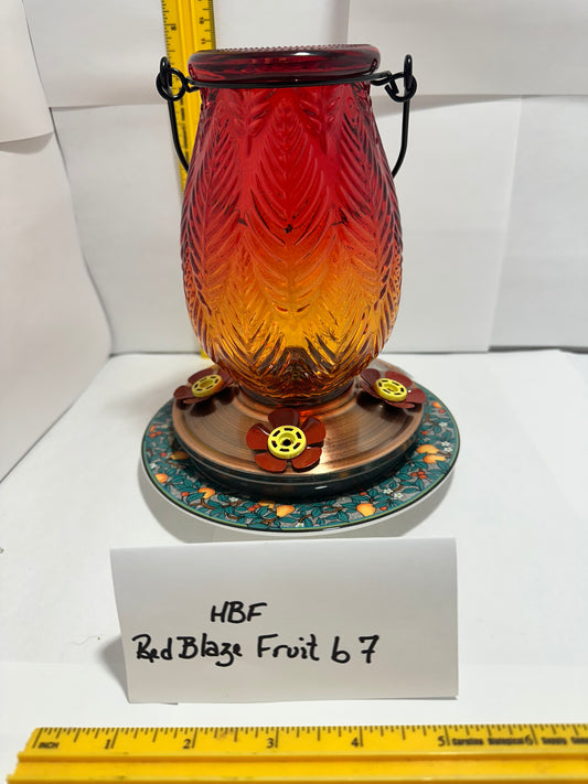 Hummingbird Feeder Red Blaze Fruit b 7 & 8